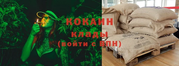 стаф Вязники