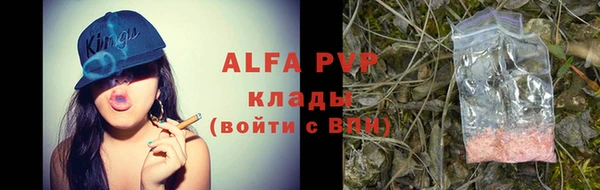 стаф Вязники