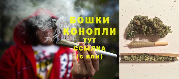 стаф Вязники