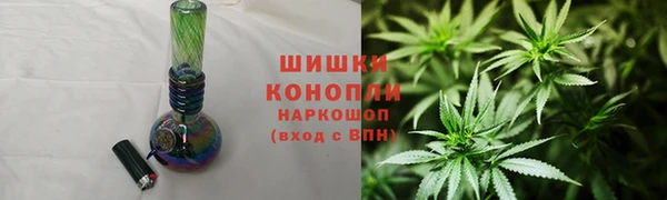 стаф Вязники