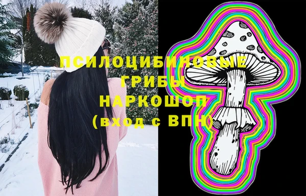 стаф Вязники