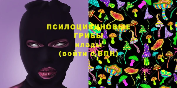 стаф Вязники