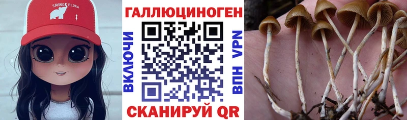 Галлюциногенные грибы ЛСД  нарко площадка Telegram  Ахтырский 